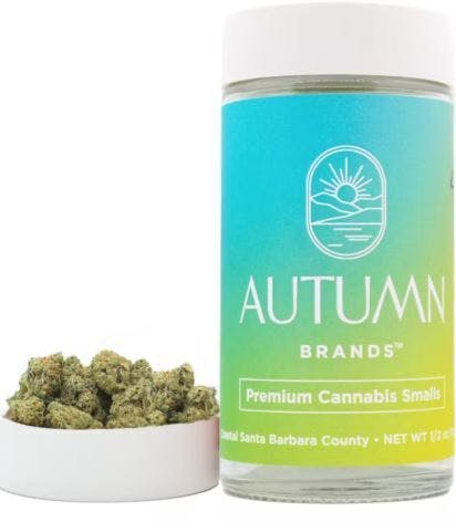 Autumn Brands: Mango Haze