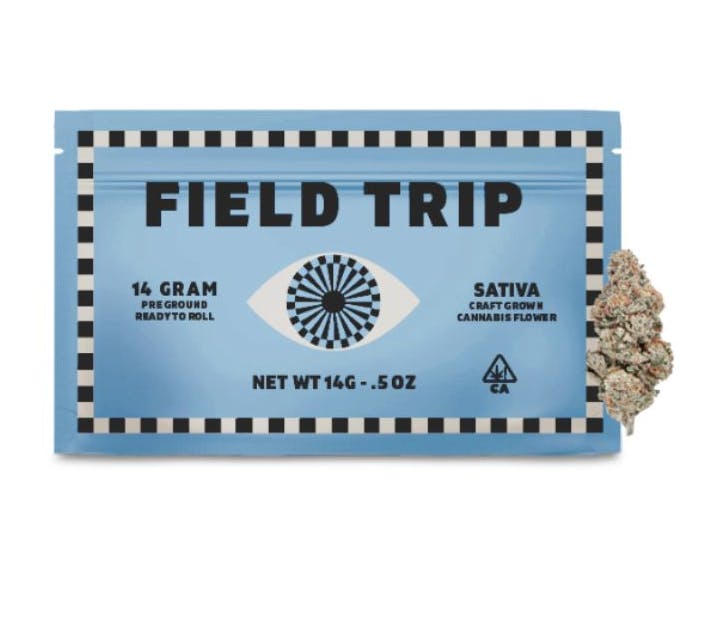 Field Trip Pre-Ground: Jungle Bird