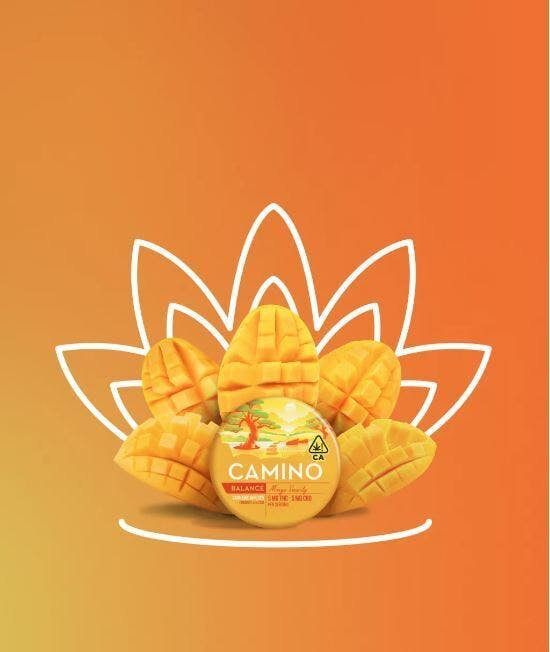 KIVA CAMINO GUMMIES: Mango Serenity :1