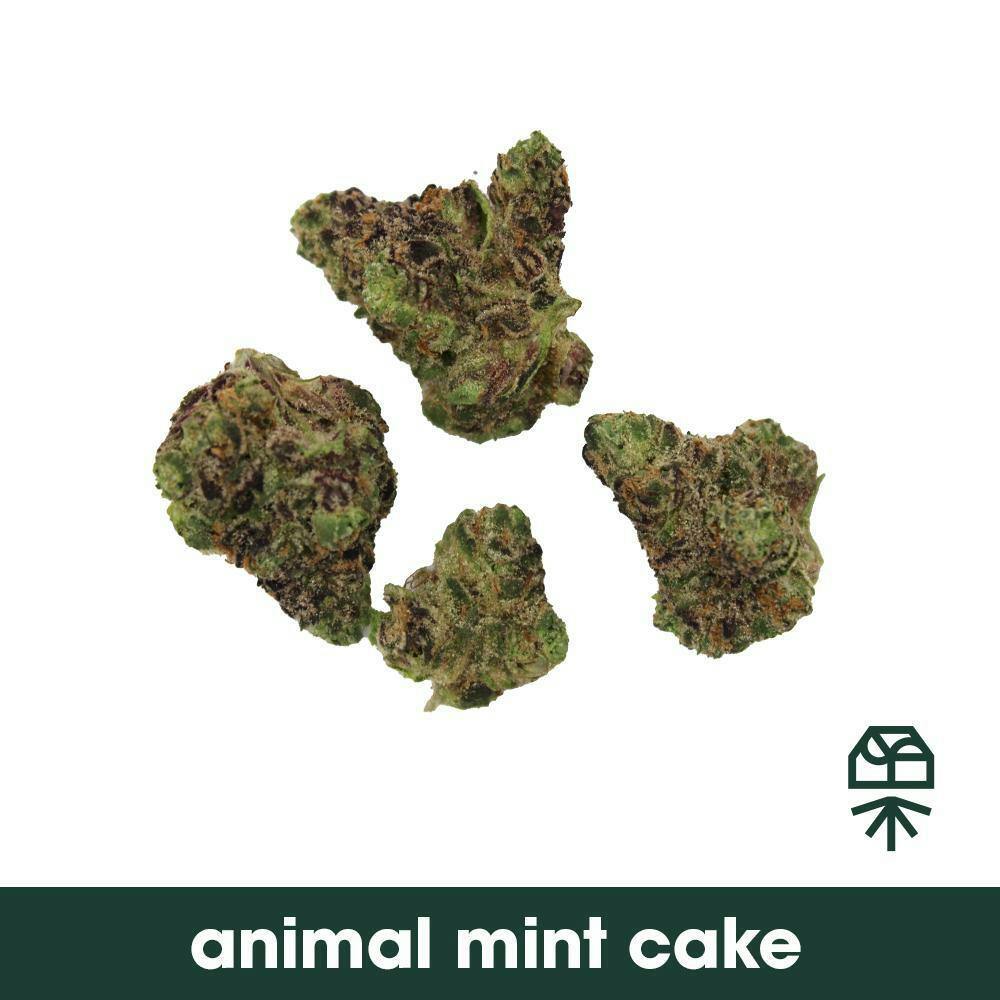 Grassroots Animal Mint Cake Smalls 3.5g