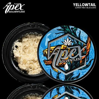 Apex | Yellowtail | 1g | Live Rosin (S Tier)