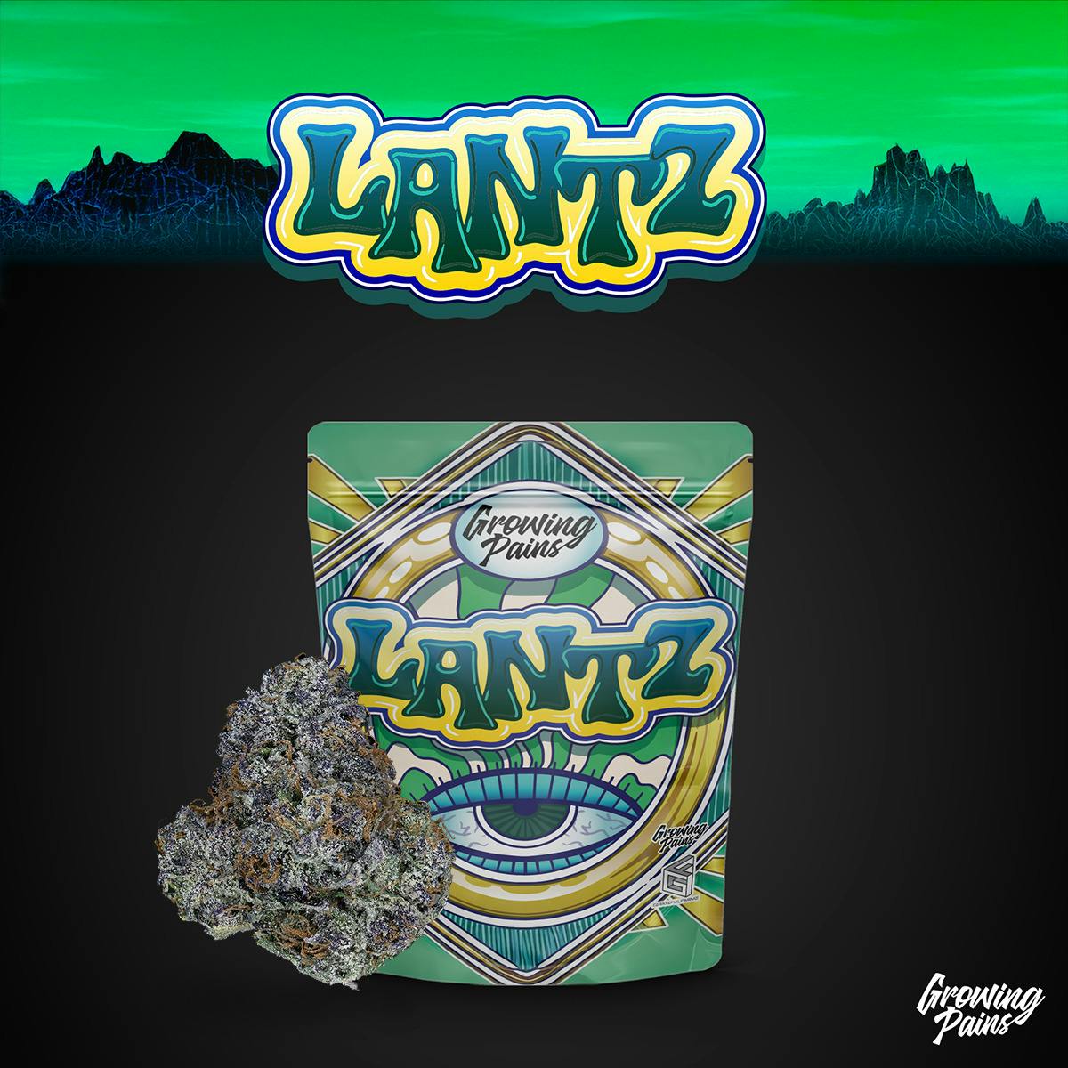 Growing Pains | Lantz | 3.5g | Pre-Pack Flower