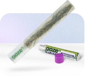 White Gusherz 1g Infused Preroll- OozeX