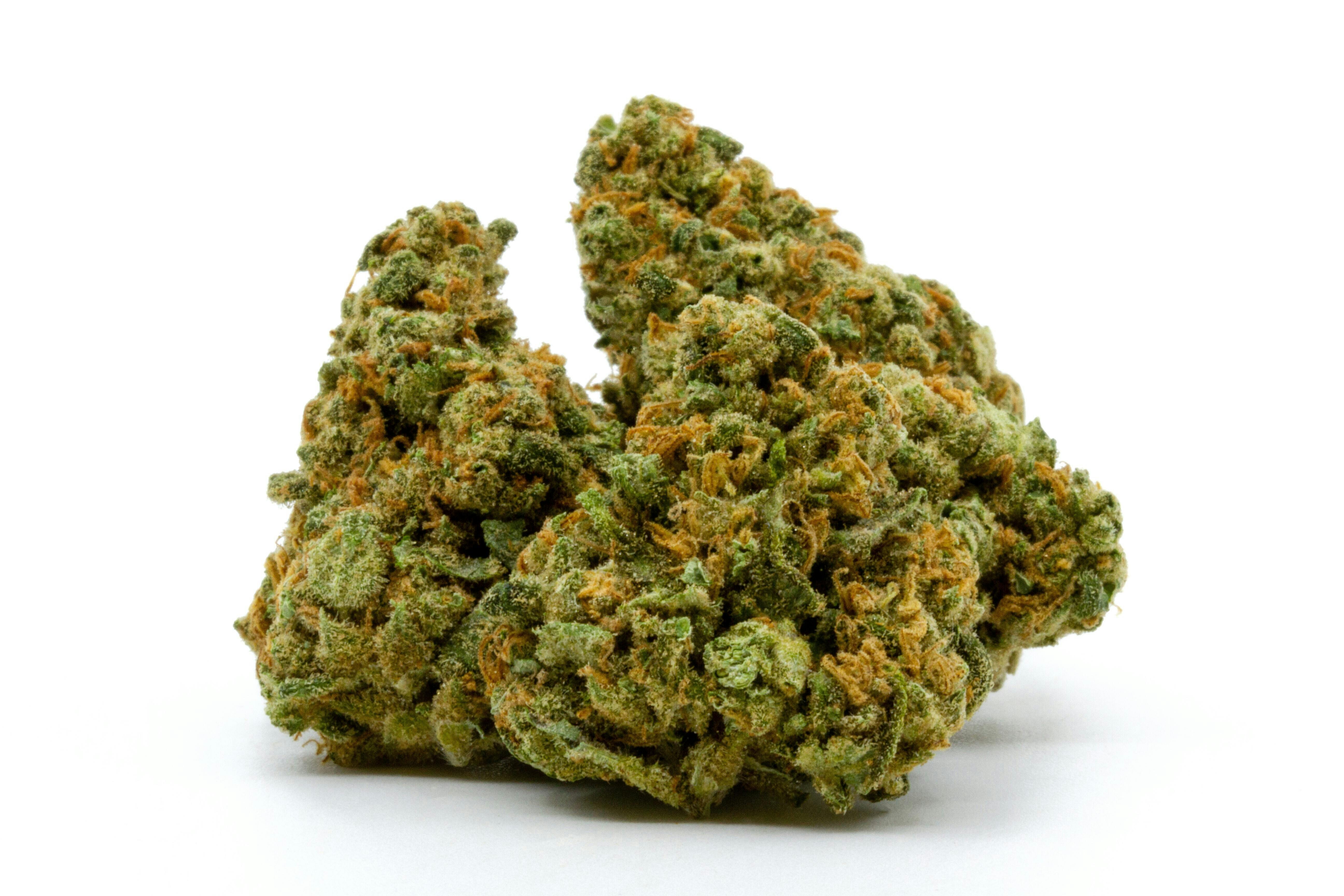 Tropical Rabbit - 1g - MJ Verdant - 26.90%