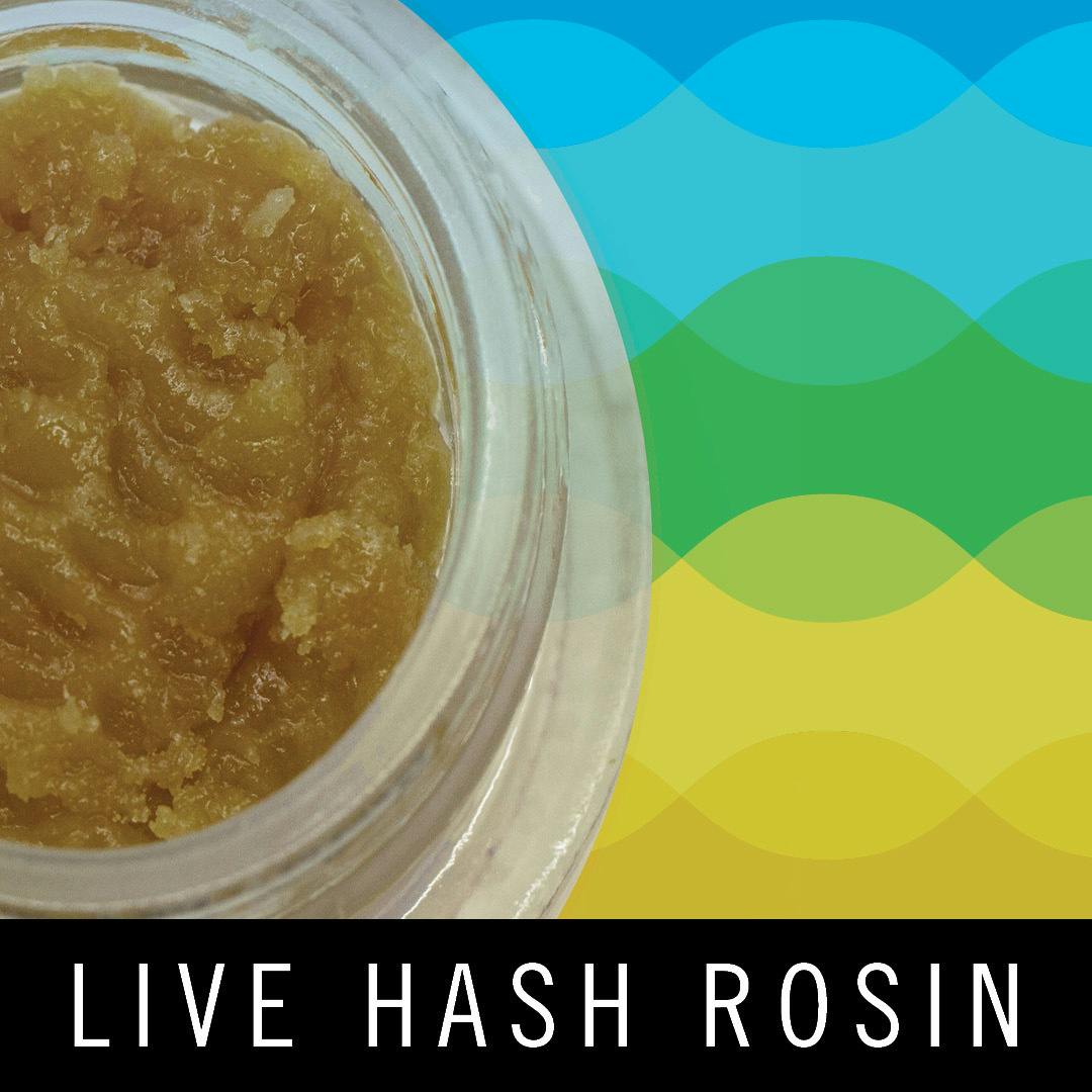 Levitate - Live Hash Rosin Baller Jar - Blumosa