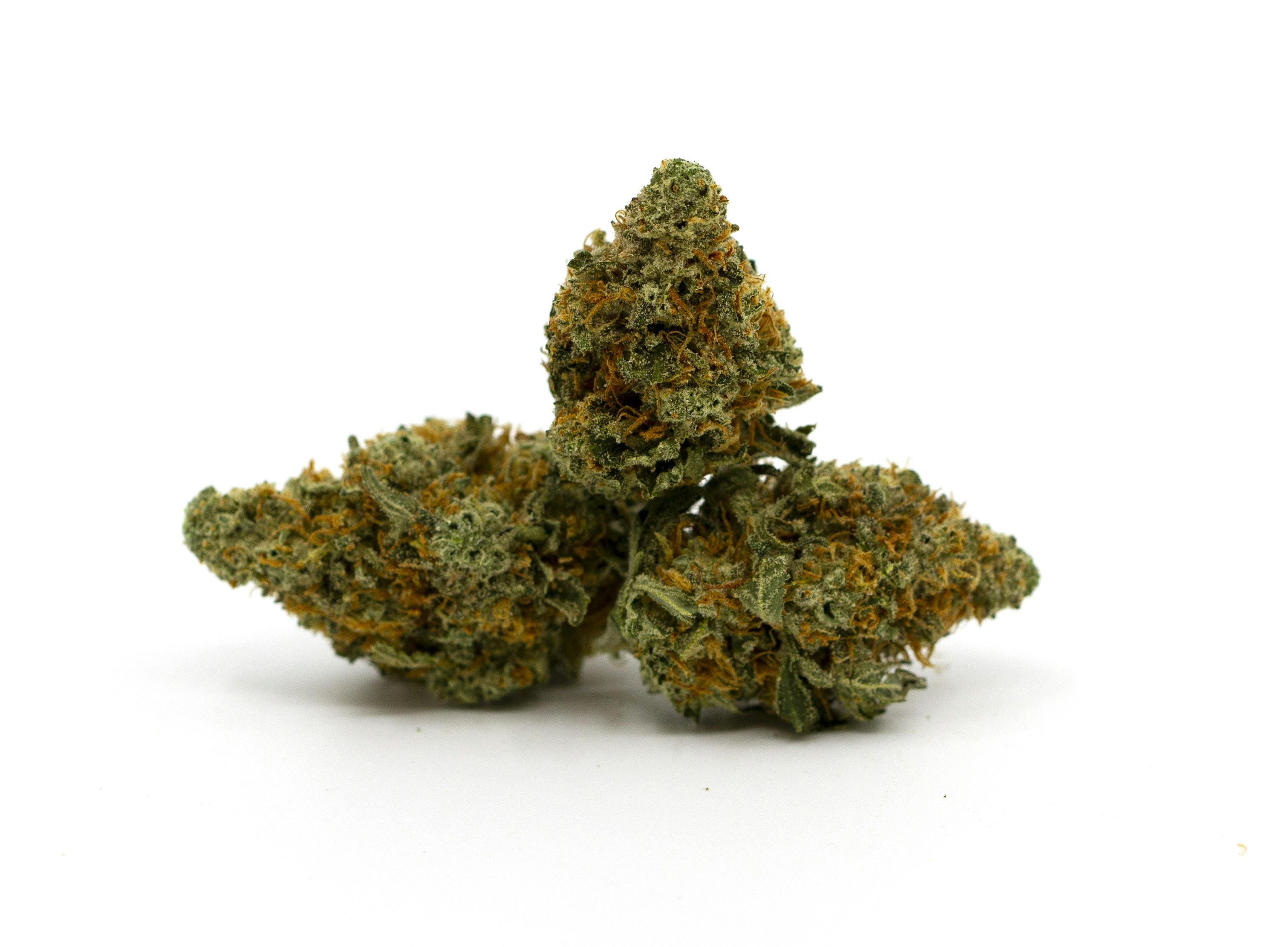 Objectiv - 14g - Lulo - 26.06%