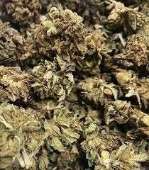 OG | Bigfoot Glue at 810 Collective Dispensary