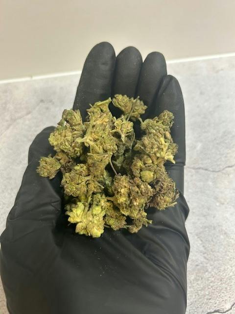 OG | Donutz at 810 Collective Dispensary