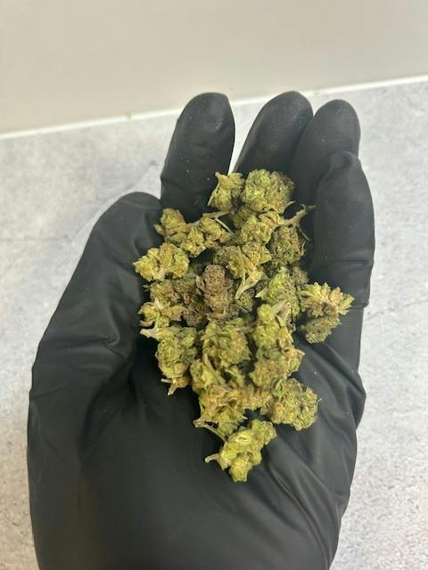 OG | Apple Pie at 810 Collective Dispensary