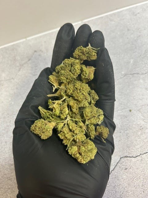 OG | Hella Jelly at 810 Collective Dispensary