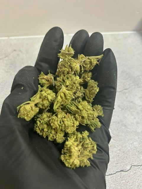 OG | Jelly Rancher at 810 Collective Dispensary