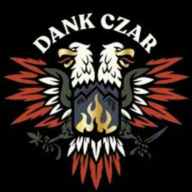 Dream Factory DOH Approved 1g LR Cartridge Dank Czar at Weed Co.