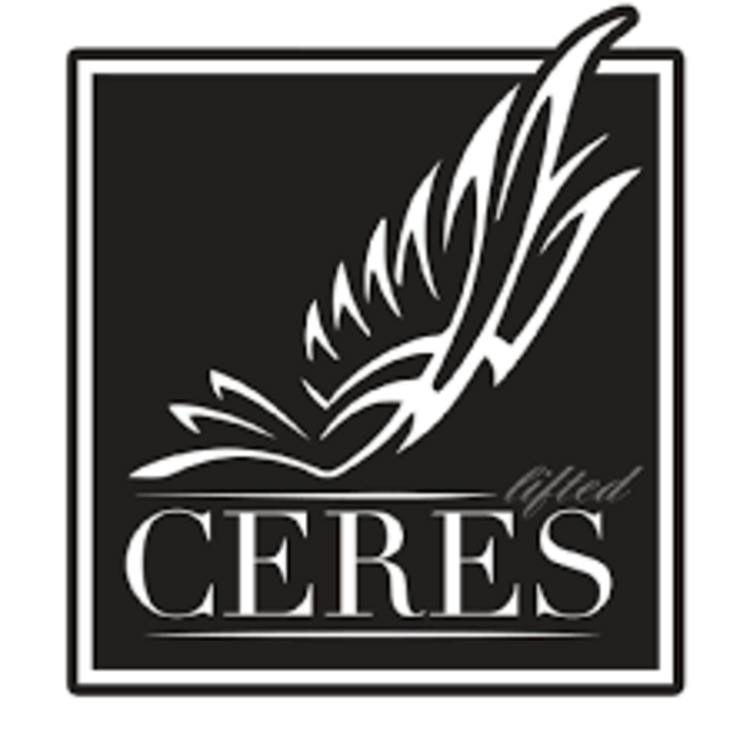 Mango (S) 10mg Edible Ceres at Weed Co.