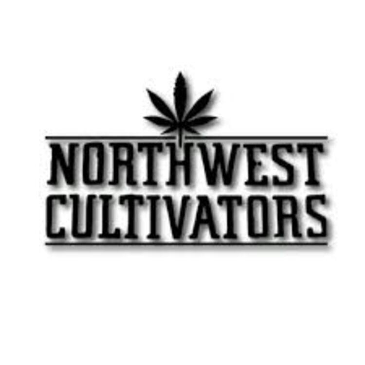 Lemon Cherry Gelato 20 x .5g Pre-roll Northwest Cultivators at Weed Co.