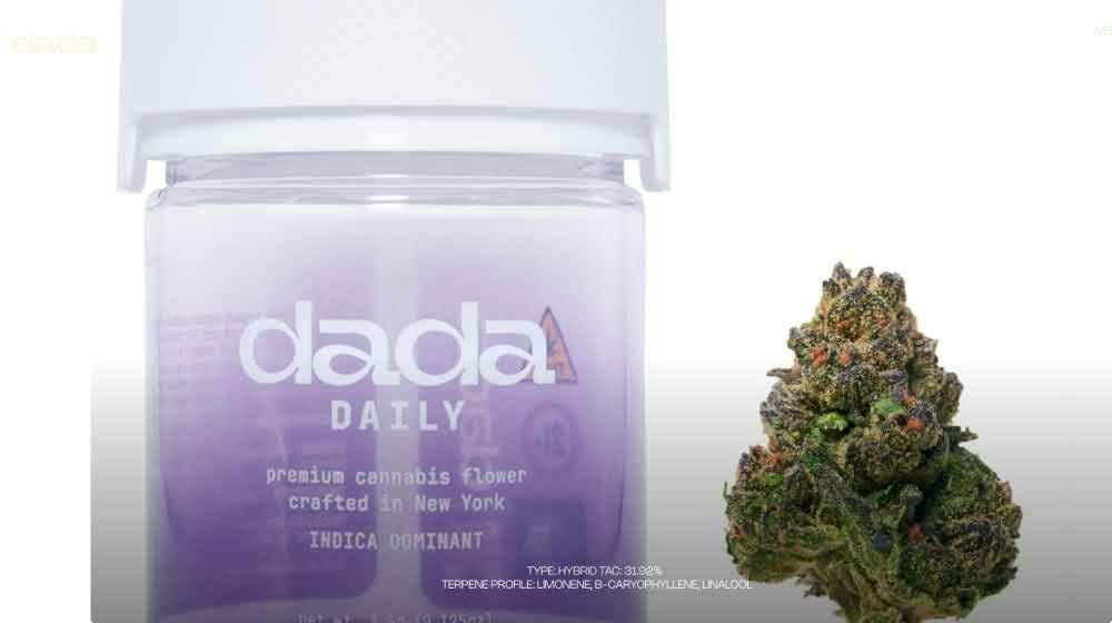 Dada Daily - Georgia Pie - 3.5g