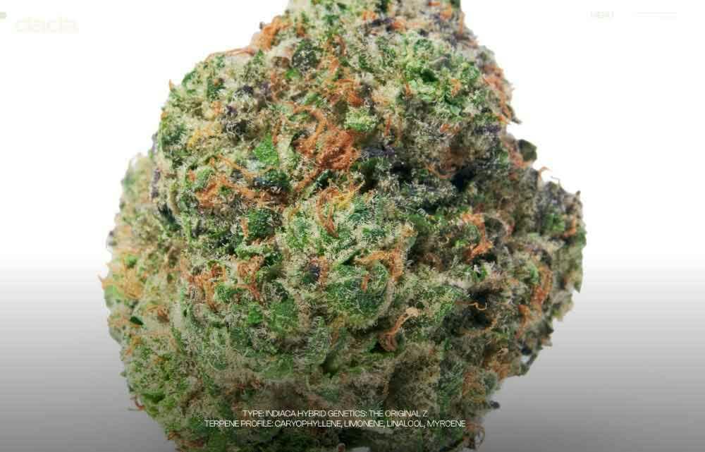 Dada Exotics - The Z - 3.5g