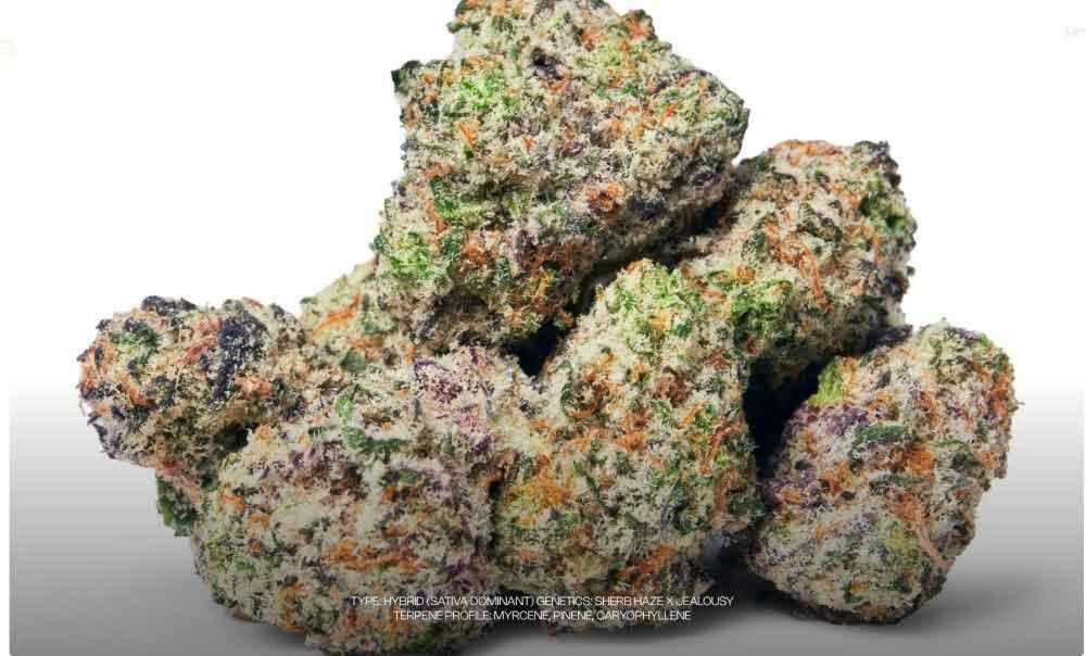 Dada Exotics - Neon Sharpie - 3.5g