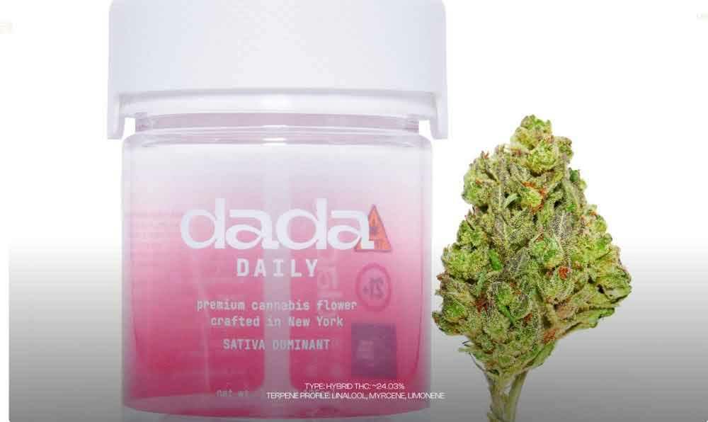 Dada Daily - Candy Zeclair - 3.5g