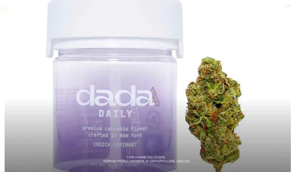 Dada Daily - Garlic Cream - 3.5g
