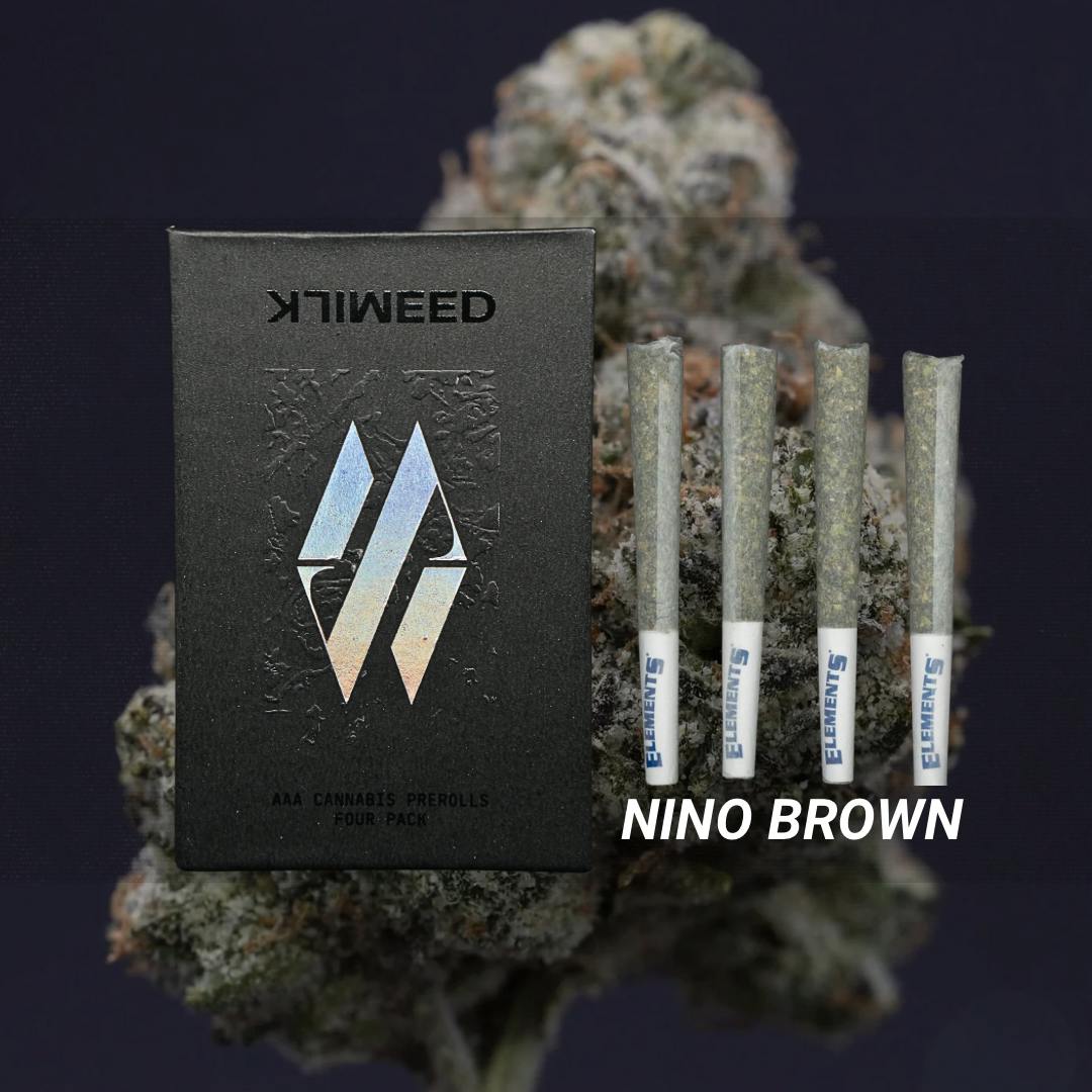 Milkweed Nino Brown