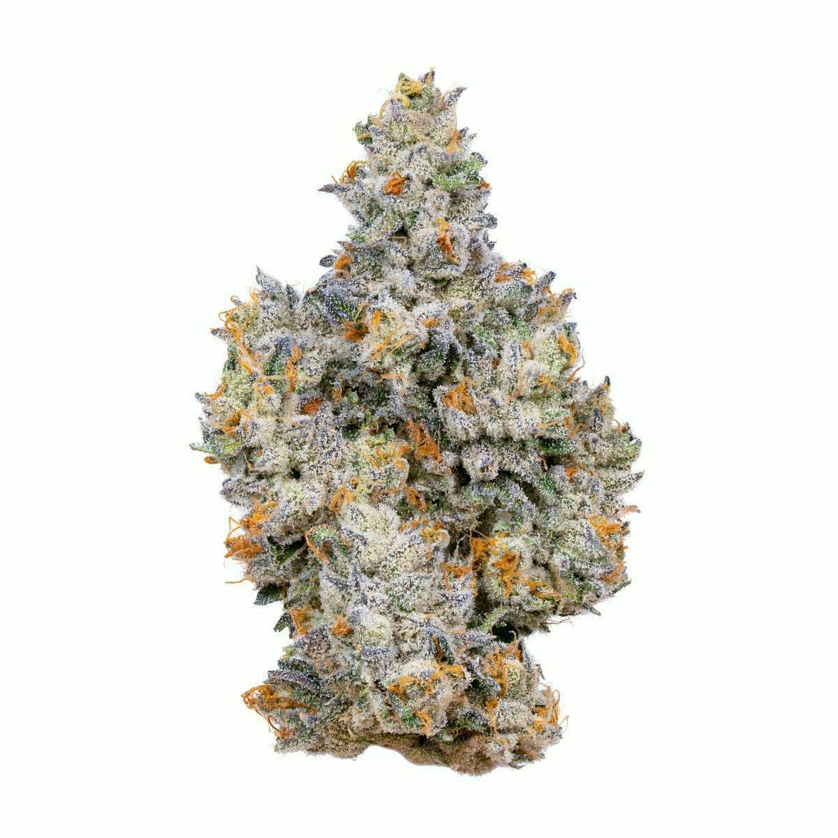 Gemini | 3.5g