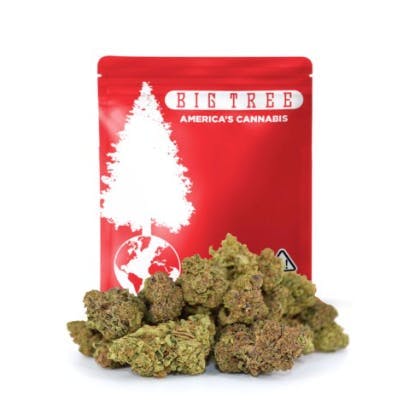 Big Tree: Midnight Snack