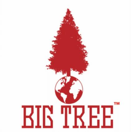 Big Tree - Biscoff Cookies: X 5