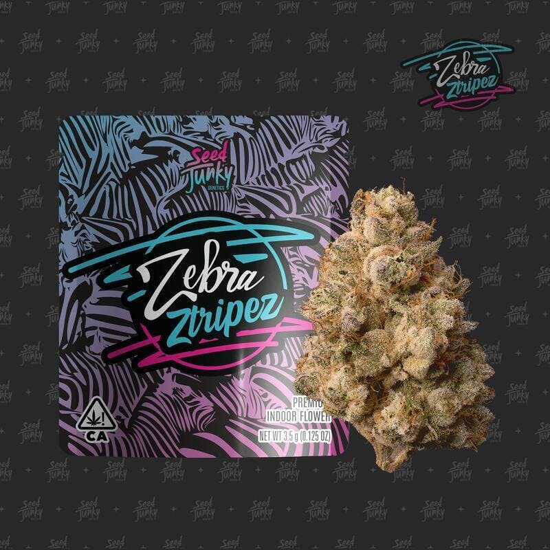 Zebra Ztripez