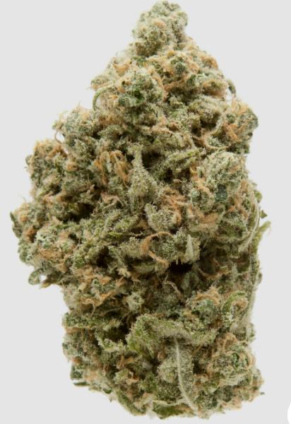 1937 - Mixed Bud - 3.5g Wedding Cake