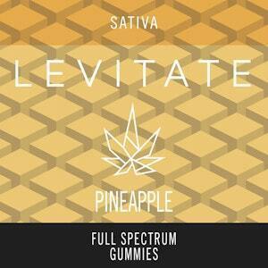 Levitate | Pineapple | 100mg Live Resin Gummy at Transcend Wellness