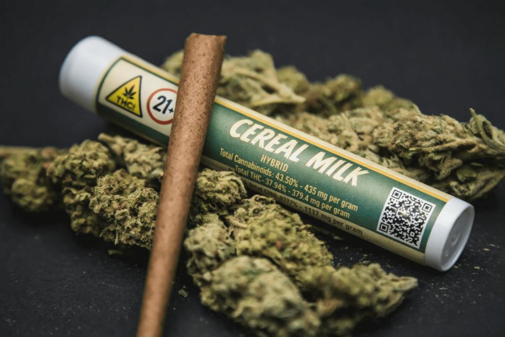Breakfast Connections Infused Blunt Cereal Milk 1g at Transcend Wellness