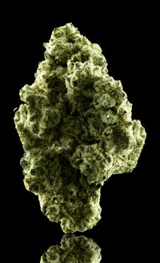High Peaks | Sativa Flower | Candyland Kush | 14g Smalls cannabis product