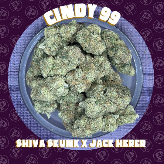 Oregon Roots: Cindy 99