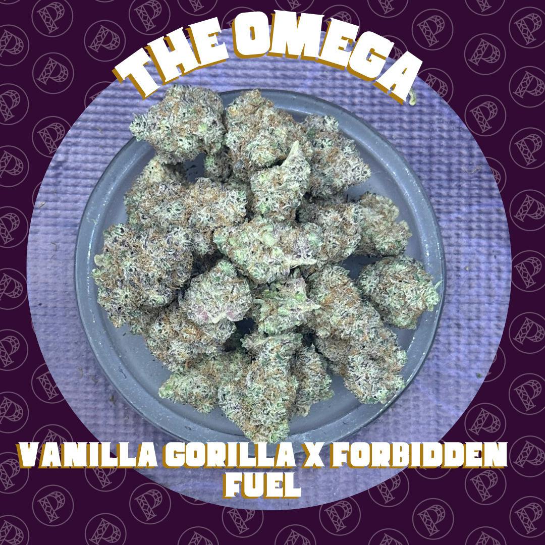 Deep Creek -: The Omega - Flight Shelf