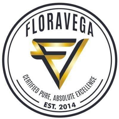 FloraVega Headband Preroll 2pk
