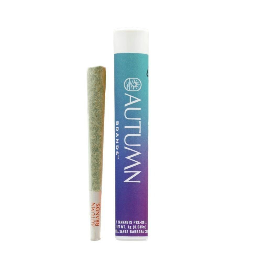 Autumn Brands G-Runtz (H) Preroll 1g