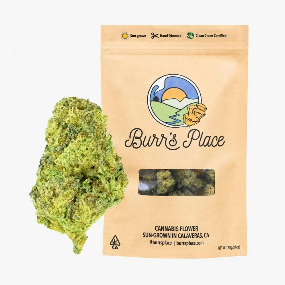 Burr's Place Poddy Mouth (I) Flower 3.5g
