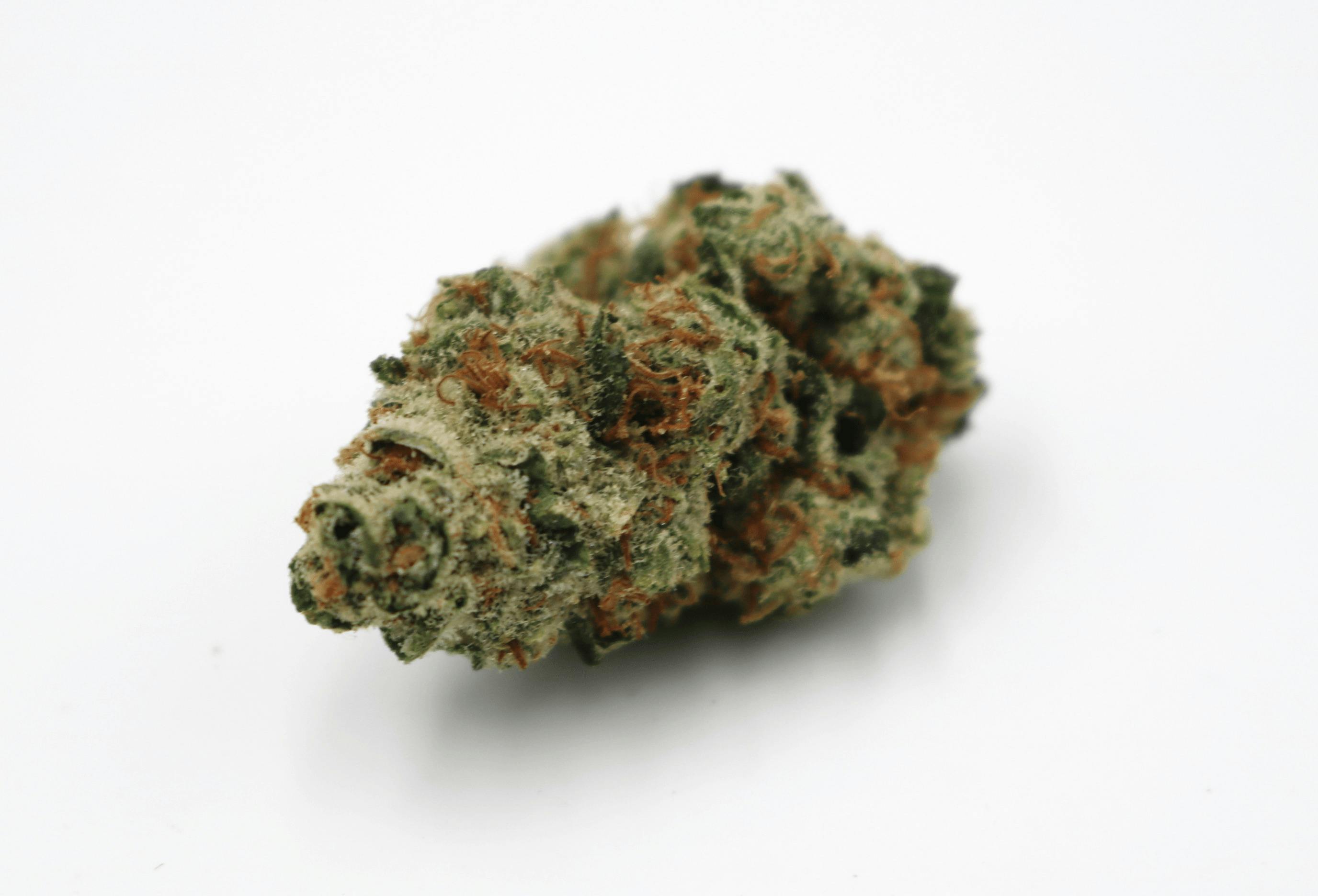 Grease Bucket Flower by Crux Cannabis