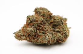Cherry Punch