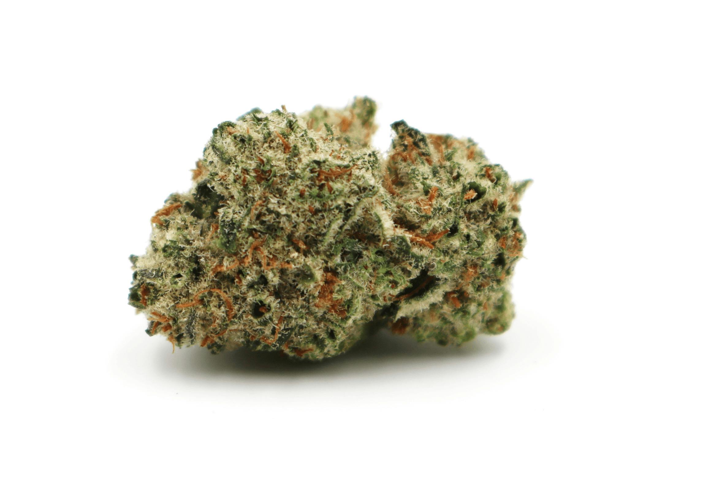 Sticky Buns Oz Special by Crux Cannabis
