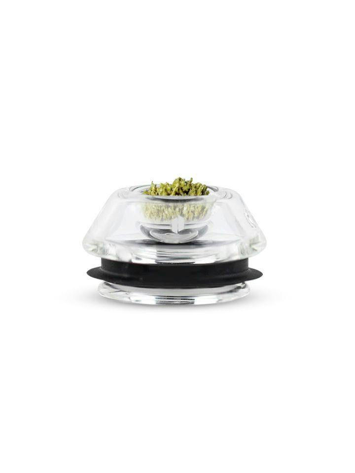 PROXY FLOWER BOWL