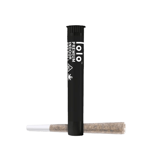 lolo: Kosher Tangie