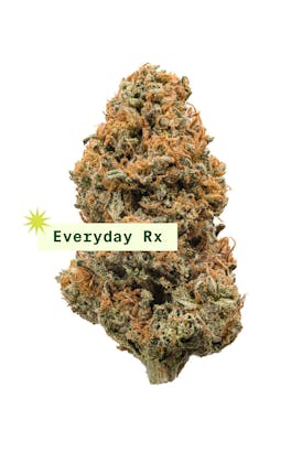 Everyday Beaver Cookies 7g
