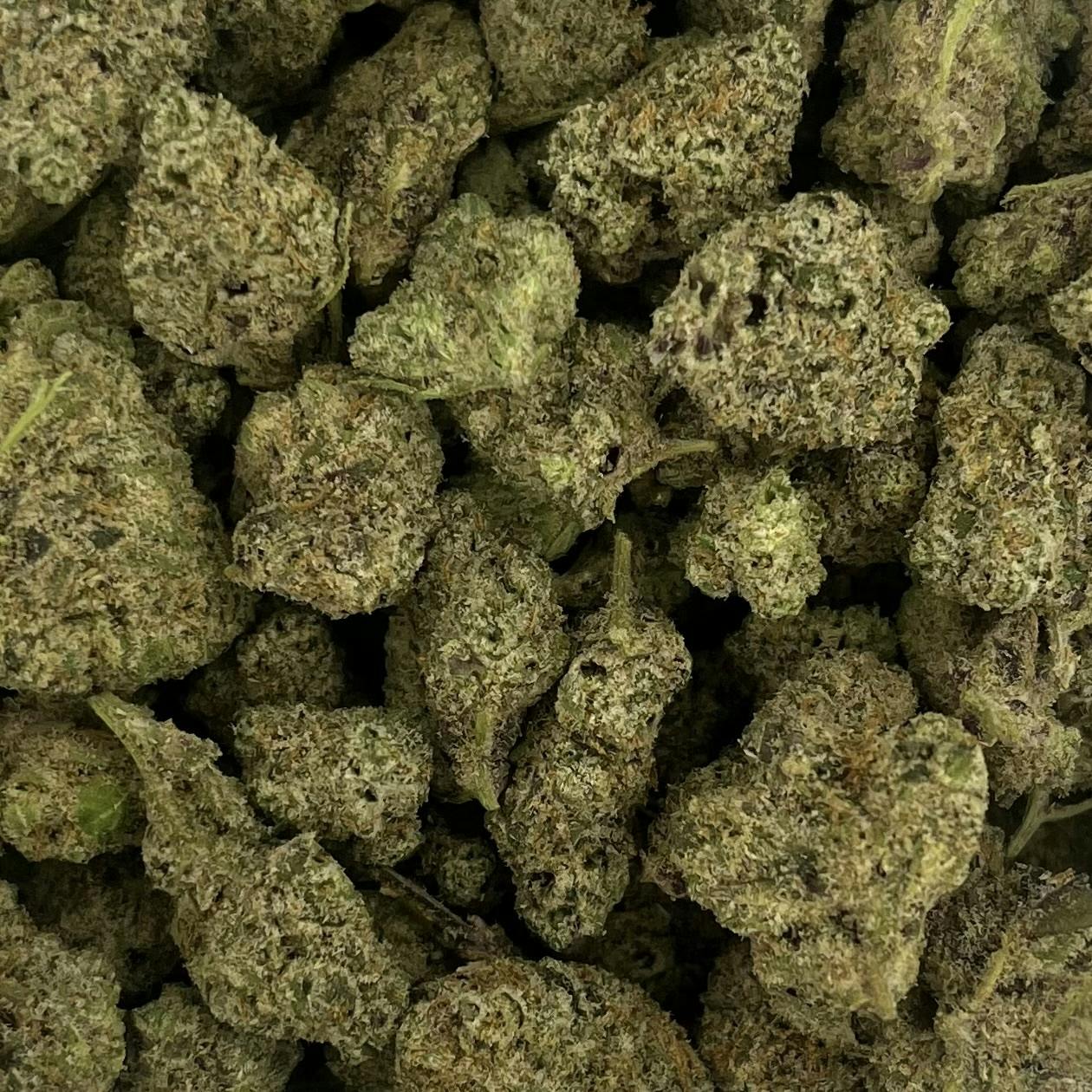 True Health - Flower - Flight of the Concords #4