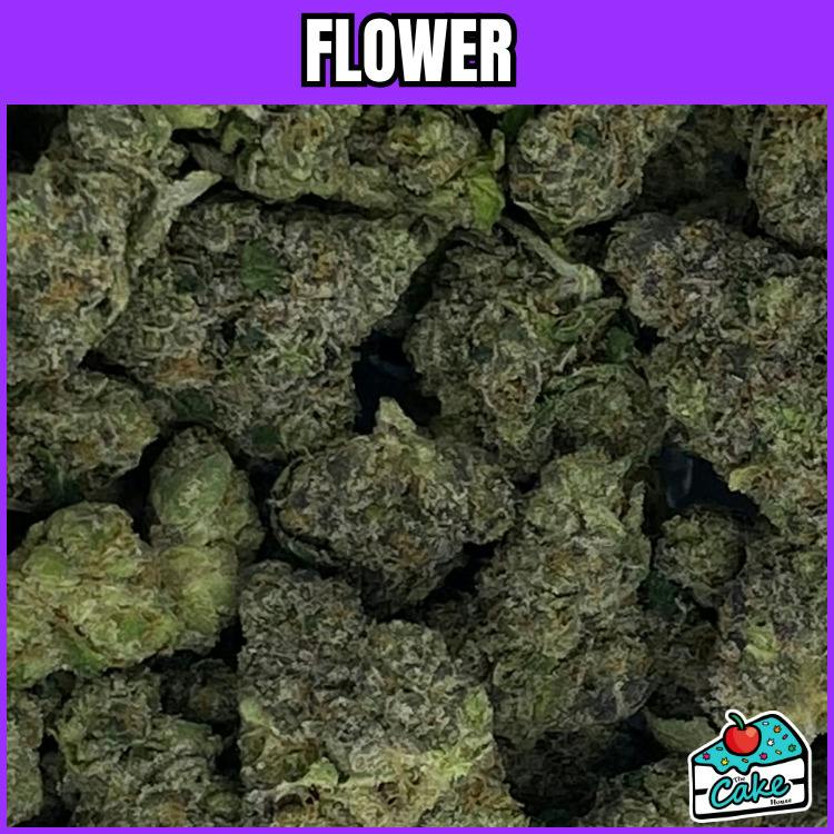 Hytek - Flower - Gelato 33