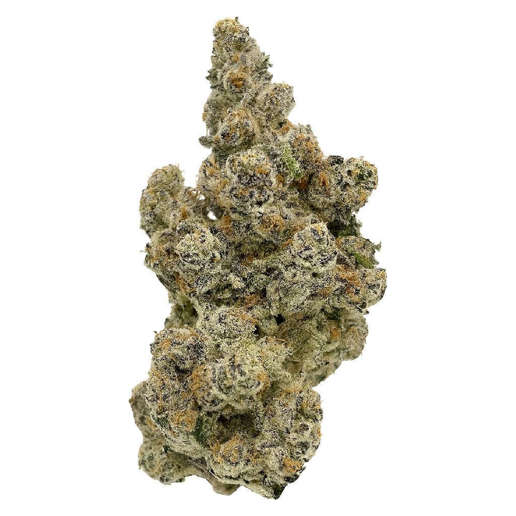 Hot Air Balloon - LALALAND dried flower 14g