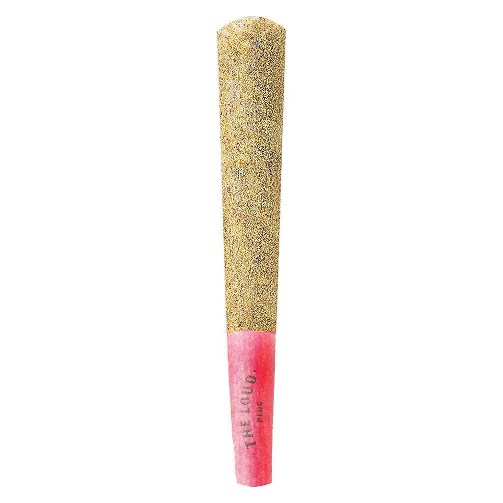 The Loud Plug - Drippyz Dragonfruit Rntz Infused Pre-Roll 1g