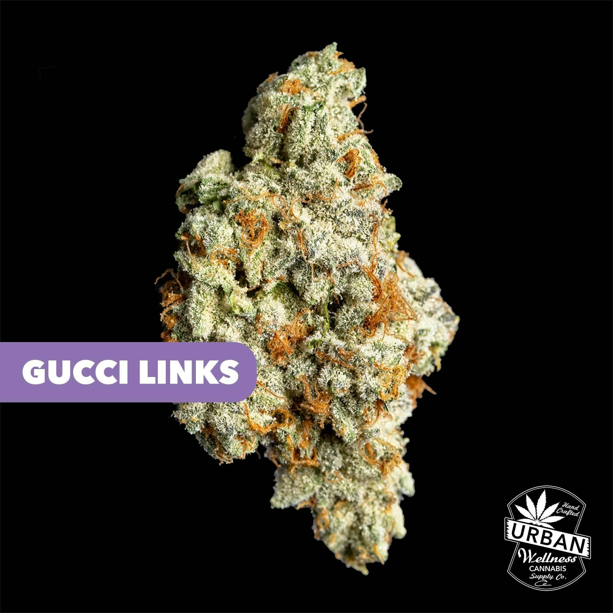 Gucci Links | Urban Wellness