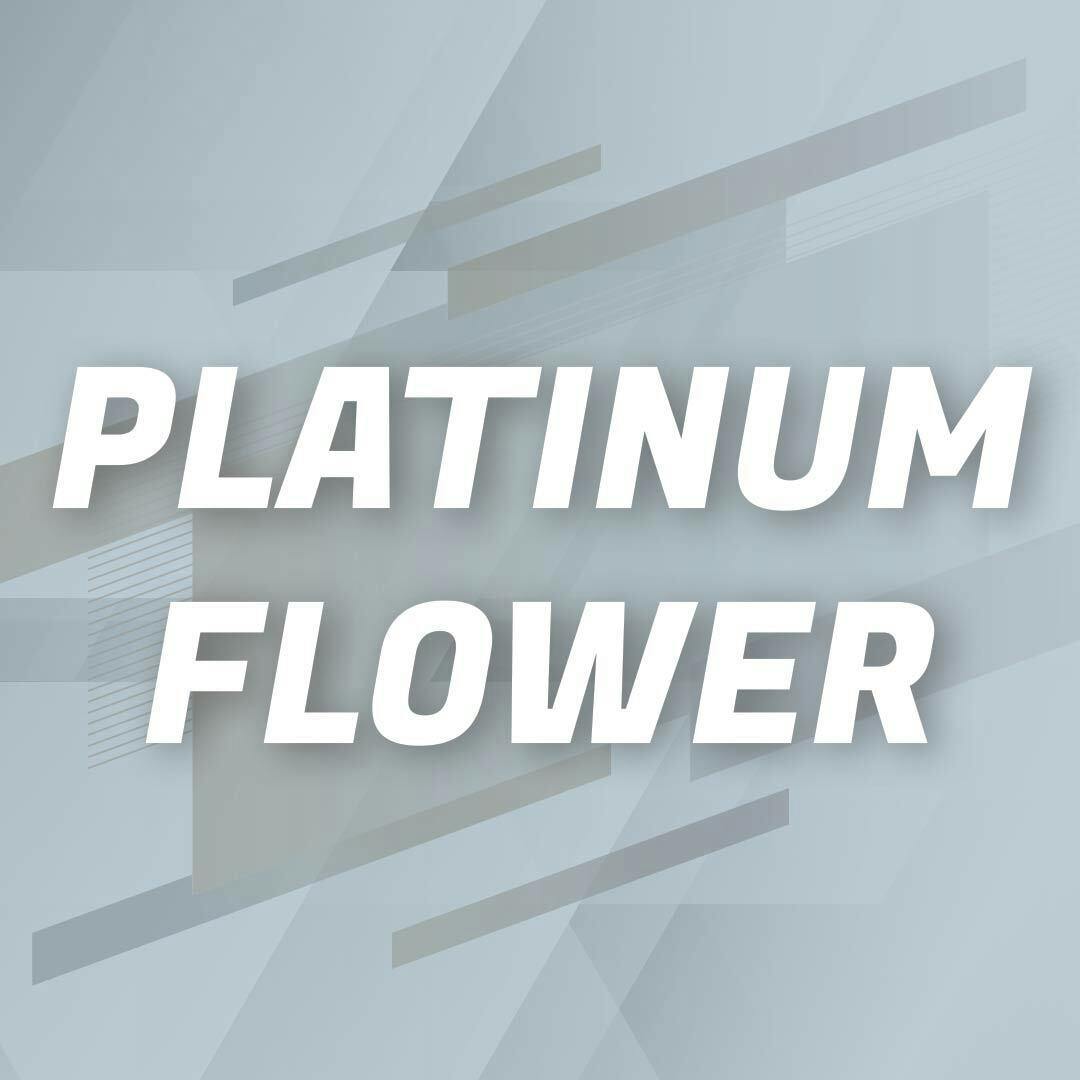 Platinum Shelf - Kiwi Sours (S)