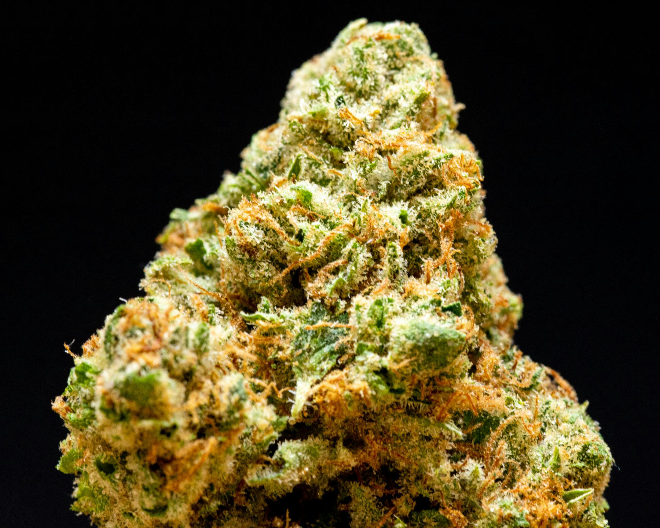Gold Shelf - Sherb Cream Pie (I)